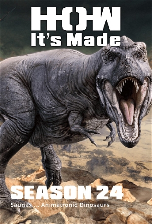 Automatic Sliding Doors; Gin; Firearms Restoration