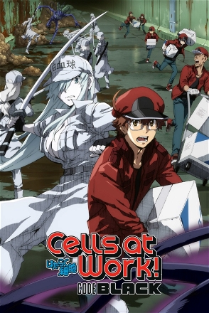 Cells at Work! CODE BLACK_0001