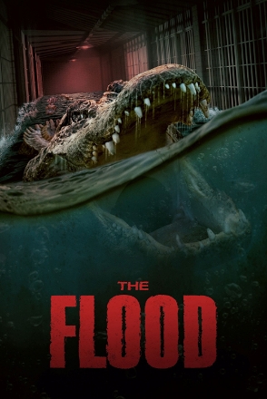 Flood
