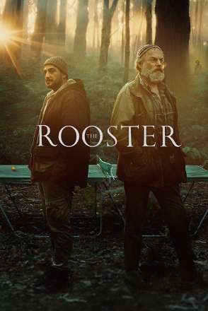 Rooster