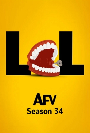 America's Funniest Home Videos_0034