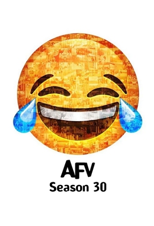 America's Funniest Home Videos_0030