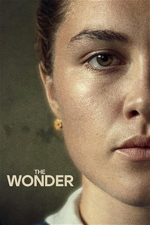 Wonder