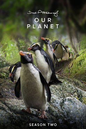 Our Planet_0002
