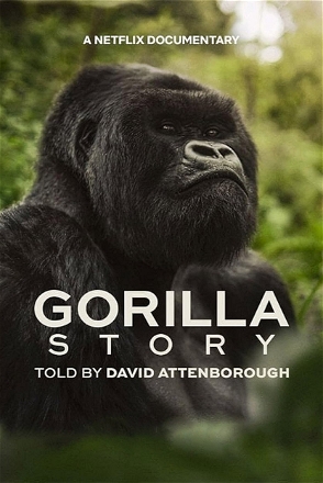 Gorilla Story: Told by David Attenborough