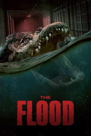 Flood